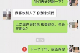 长海如果欠债的人消失了怎么查找，专业讨债公司的找人方法